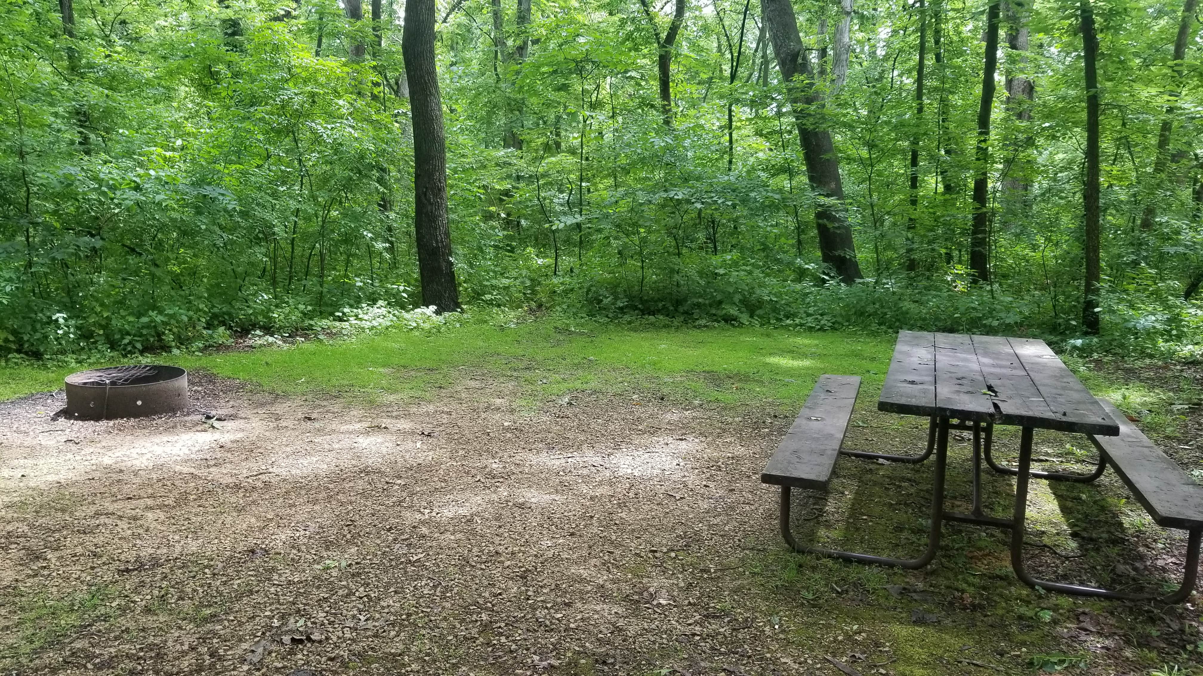 Camper-submitted photo at Lake Kegonsa State Park Campground near Milton, WI