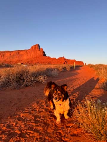 Camper-submitted photo at Surprise Lake Campground near Oljato-Monument Valley, UT