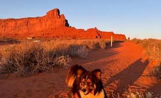 celia L.'s photo of camping with pets at Surprise Lake Campground near Monument Valley, AZ