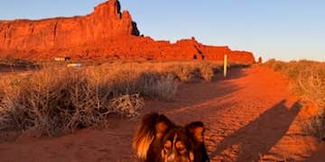 Camper submitted image from Surprise Lake Campground