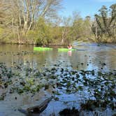 Review photo of Turkey Swamp Park by Lee D., February 18, 2025