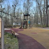 Review photo of Turkey Swamp Park by Lee D., February 18, 2025