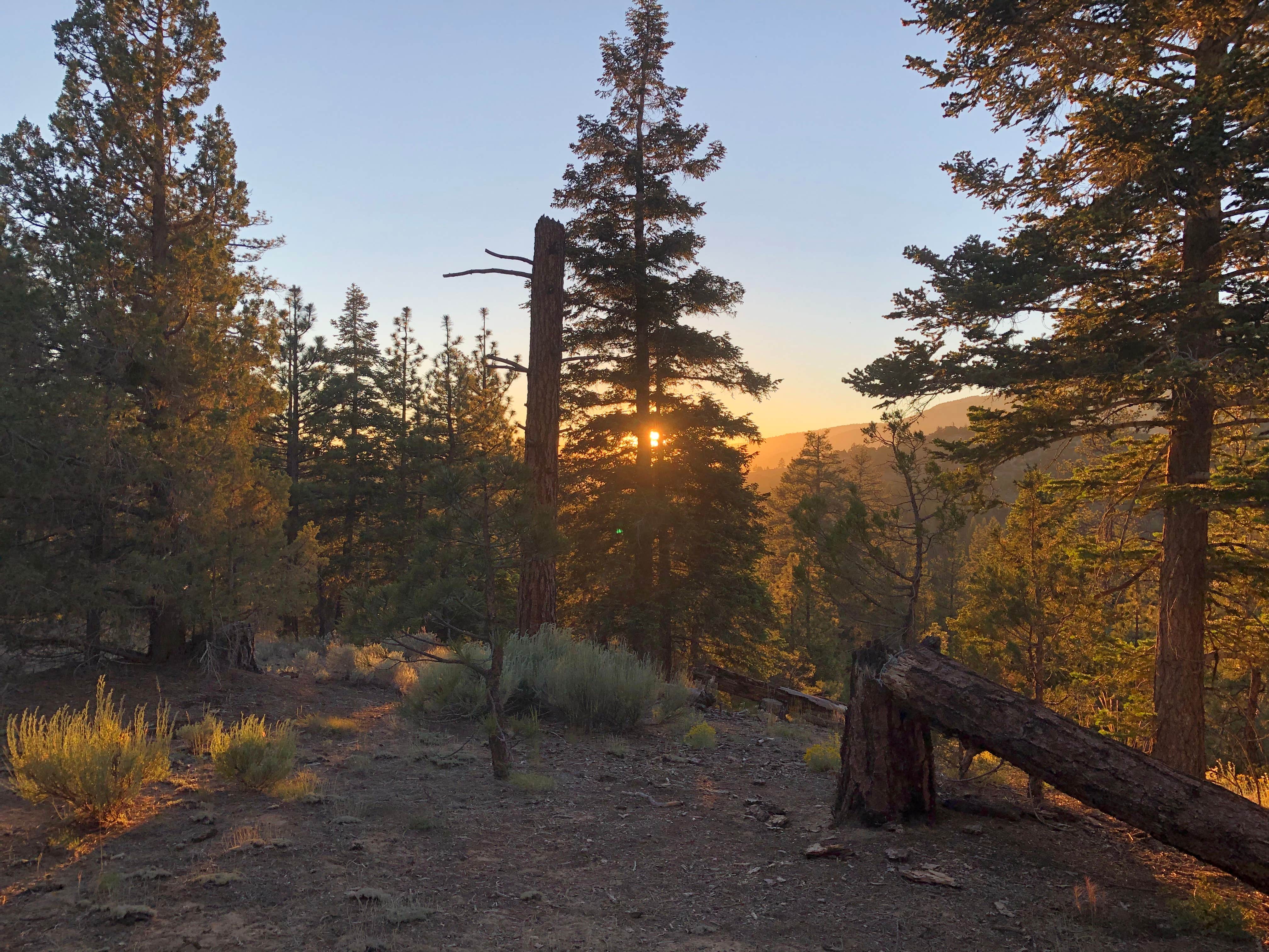 Camper-submitted photo at Heart Bar Campground near Calimesa, CA