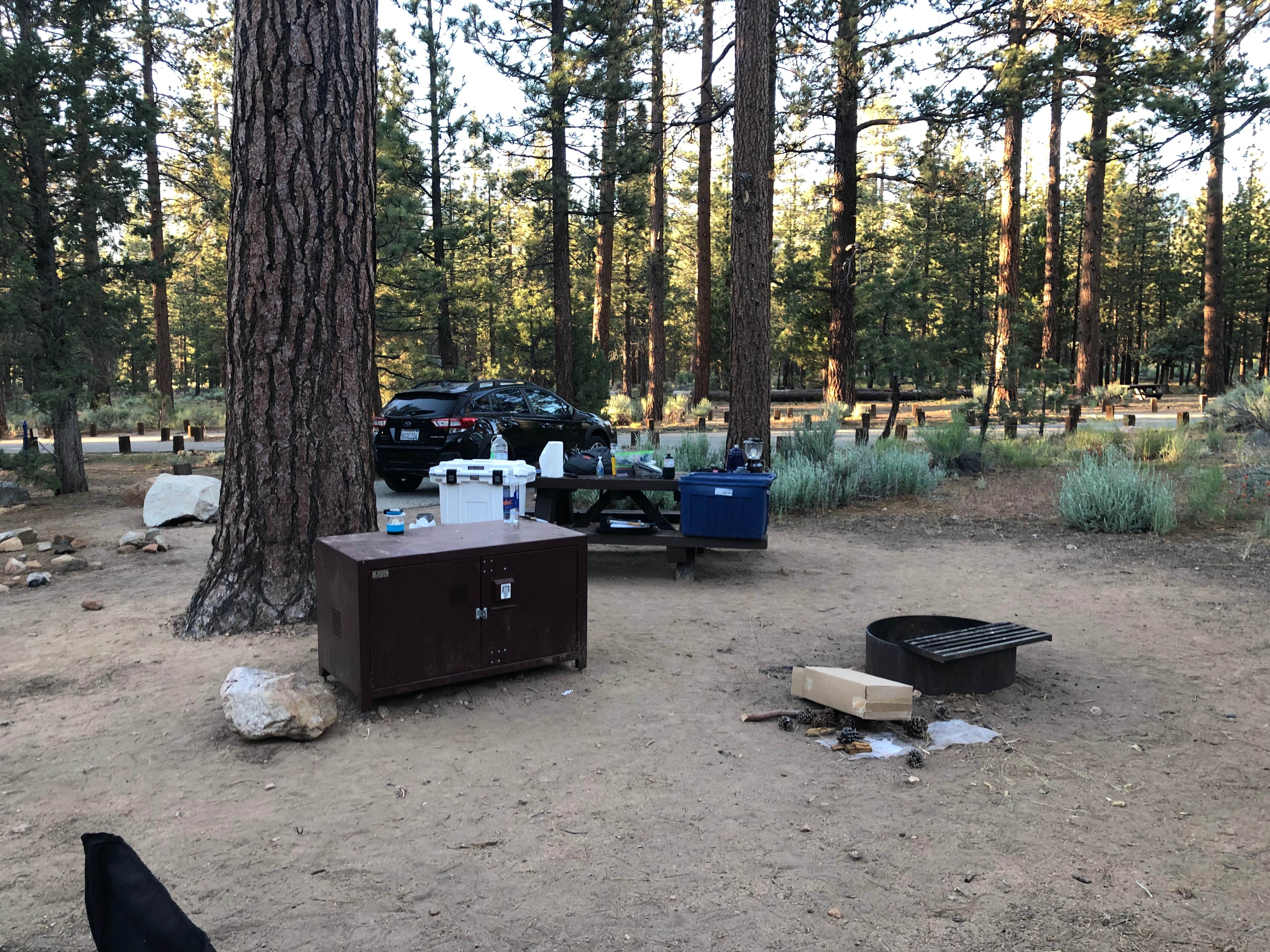 Camper submitted image from Heart Bar Campground - 4