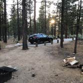 Review photo of Heart Bar Campground by Andre V., July 4, 2019