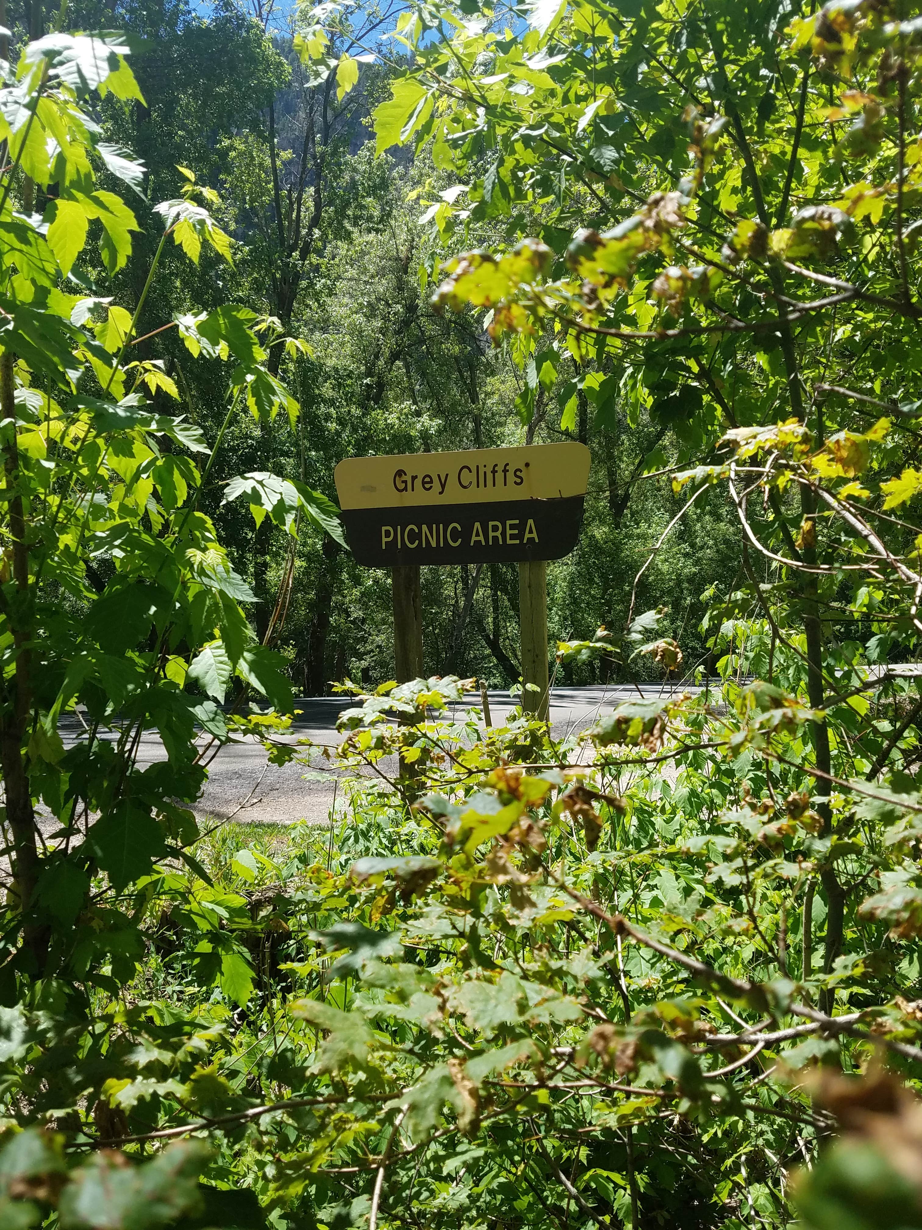 Signs & Maps