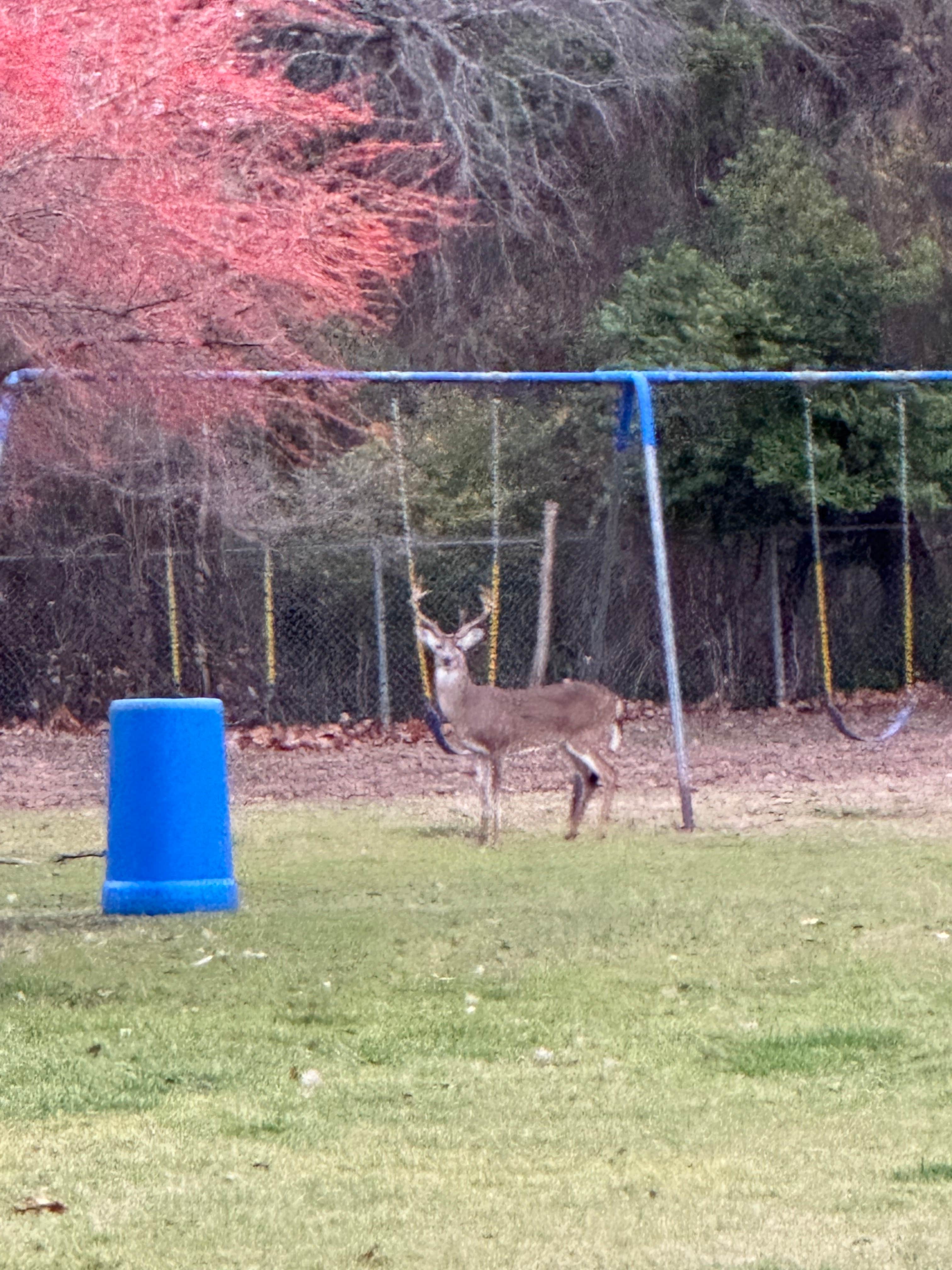 Camping near Lake Life RV Resort LLC: Burgers Lake, River Oaks, Texas