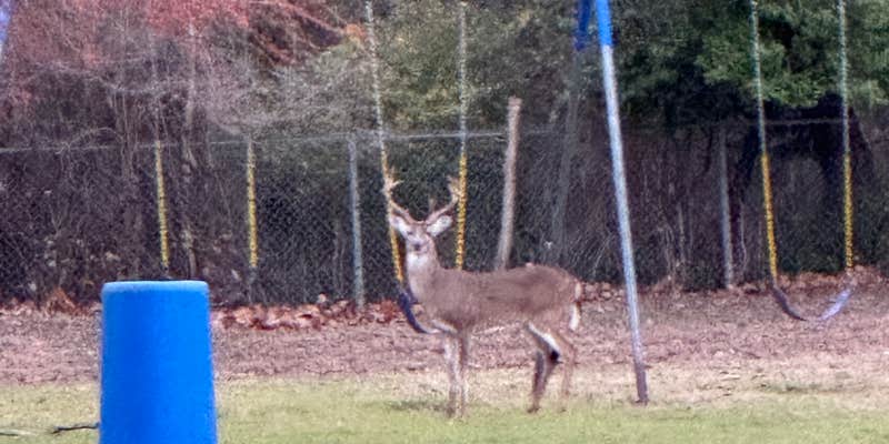 Camper submitted image from Burgers Lake