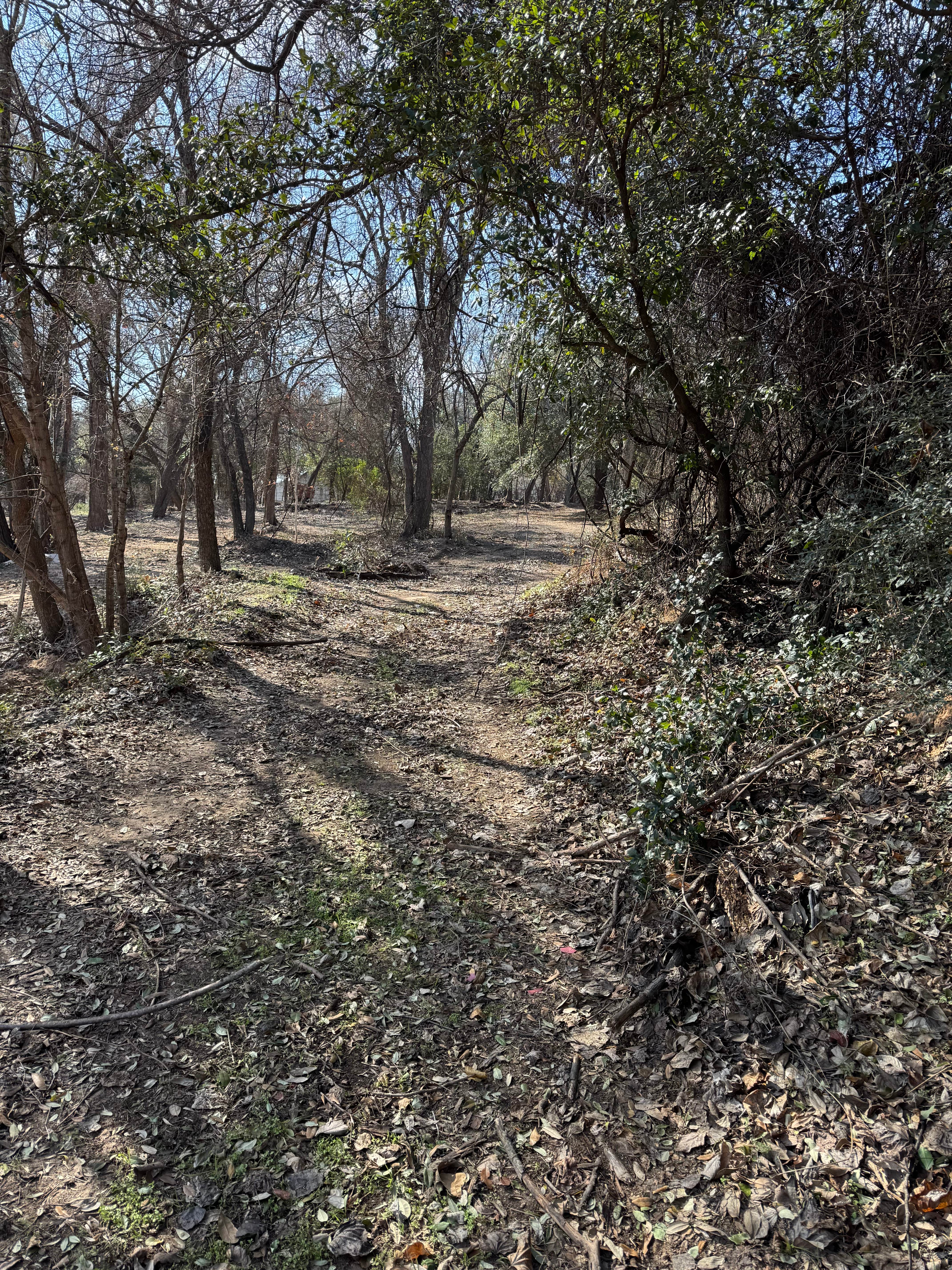 Camper-submitted photo at Burgers Lake near Fort Worth, TX