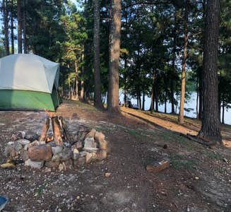 Camper-submitted photo from Sipsey Wilderness Backcountry Site (Trail 200 Site H)