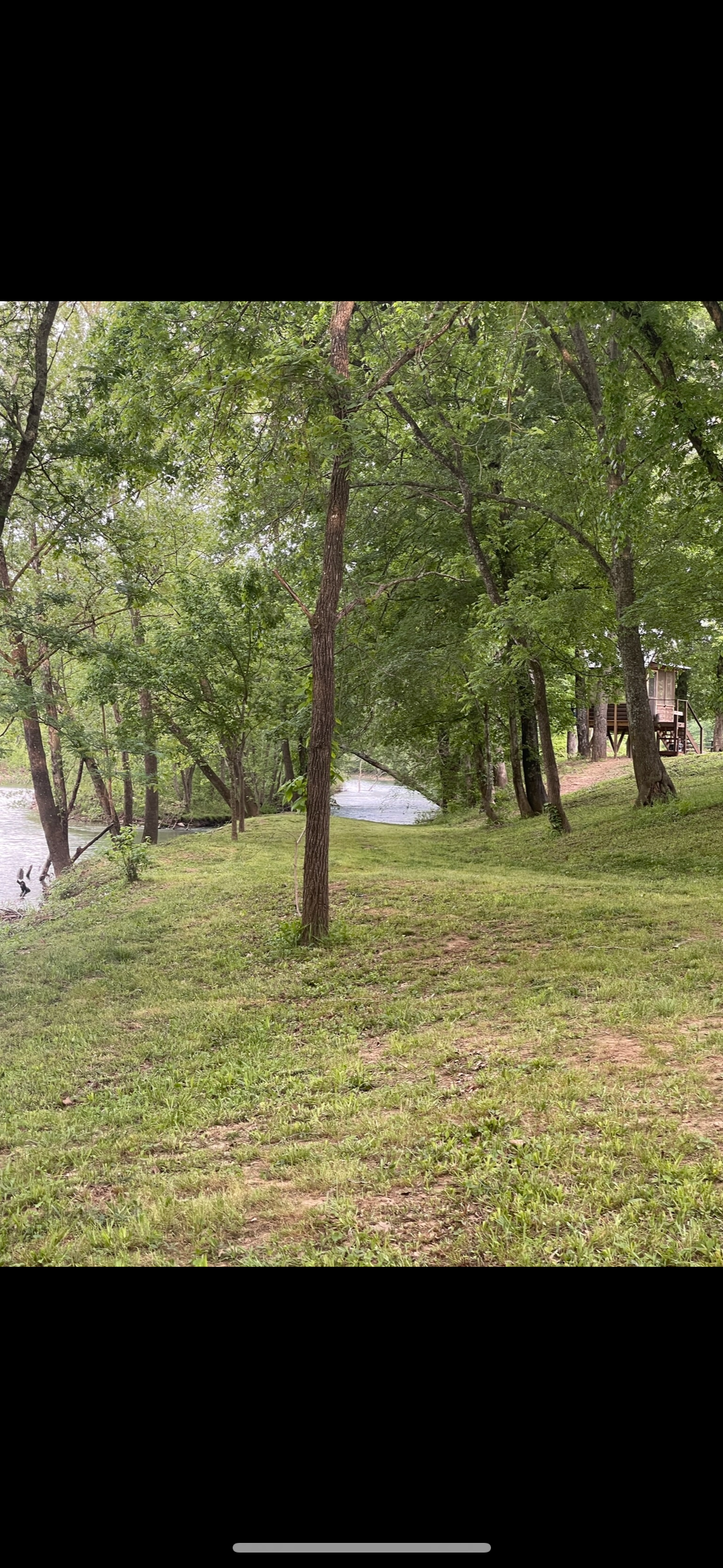 Camper-submitted photo at End of the Trail near Mansfield, AR