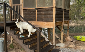 Wentz A.'s photo of camping with pets at End of the Trail near Ouachita National Forest