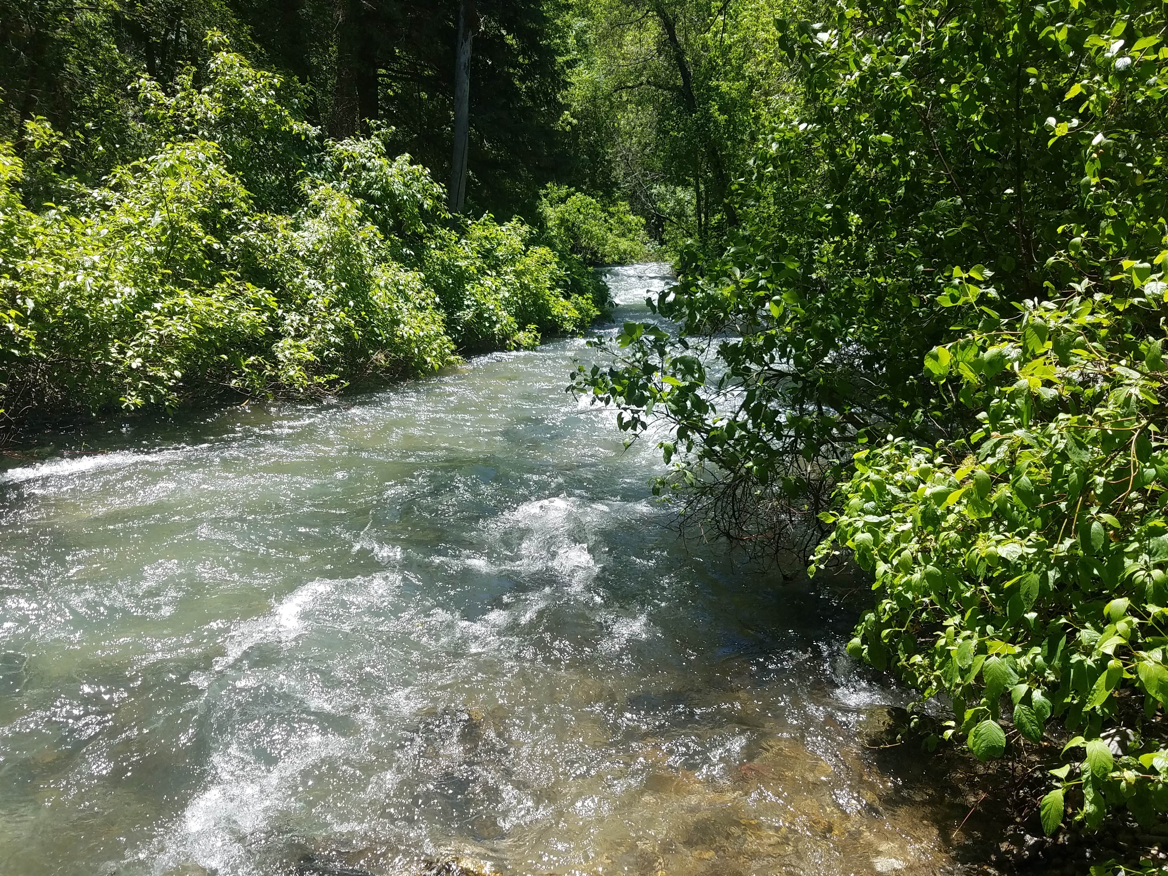 Water