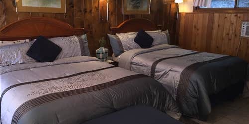 Camper submitted image from Arrowhead Tree Top Lodge