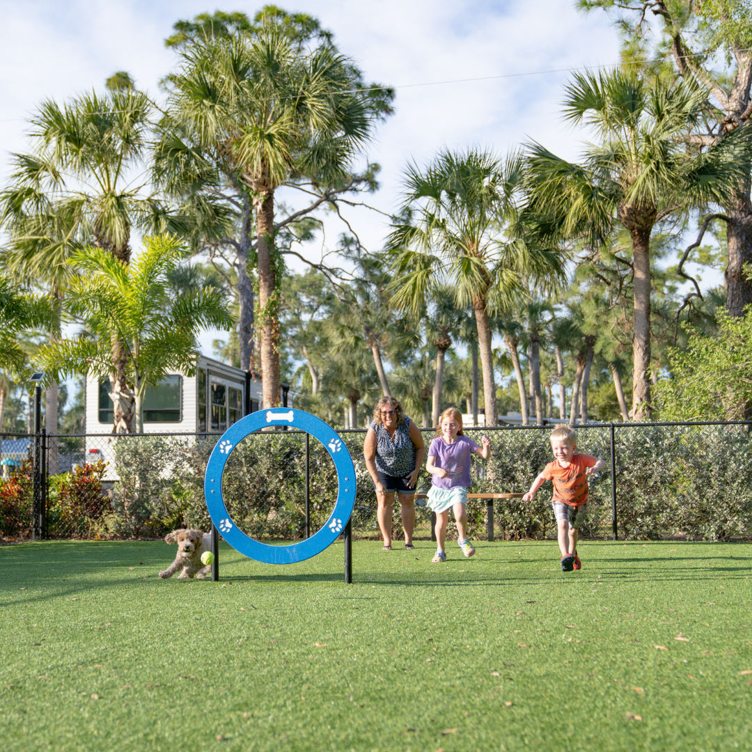 Jacob W.'s photo of camping with pets at Blueway RV Park near Marco Island, FL