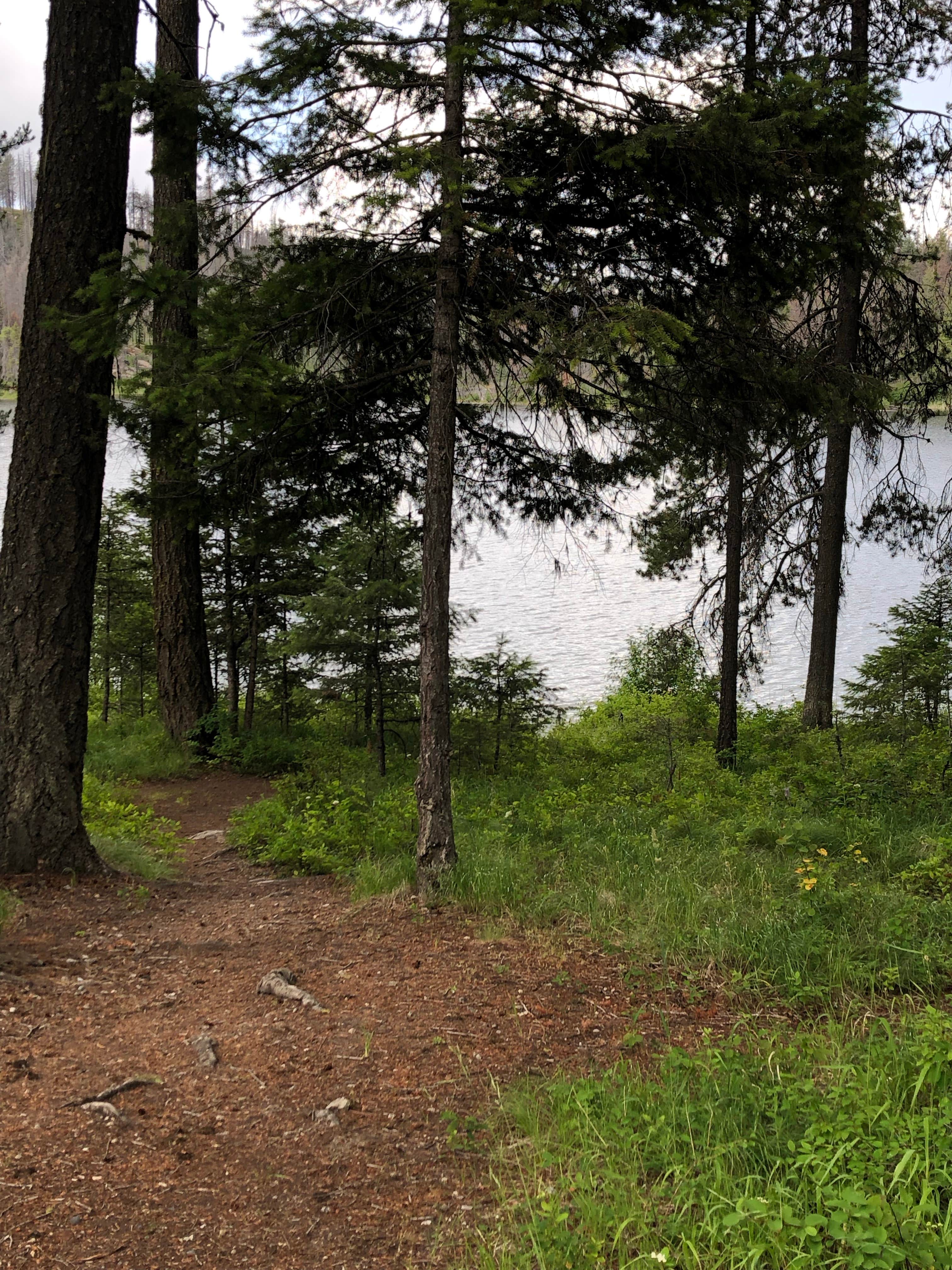 Camping near Sweat Creek Campground: Swan Lake Campground, Republic, Washington