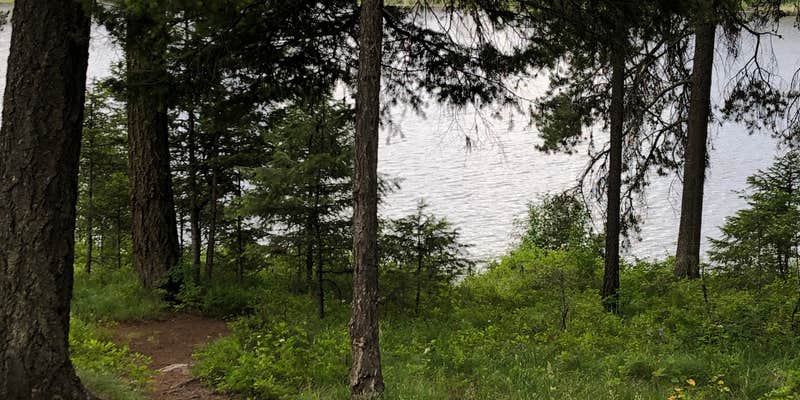 Camper submitted image from Swan Lake Campground