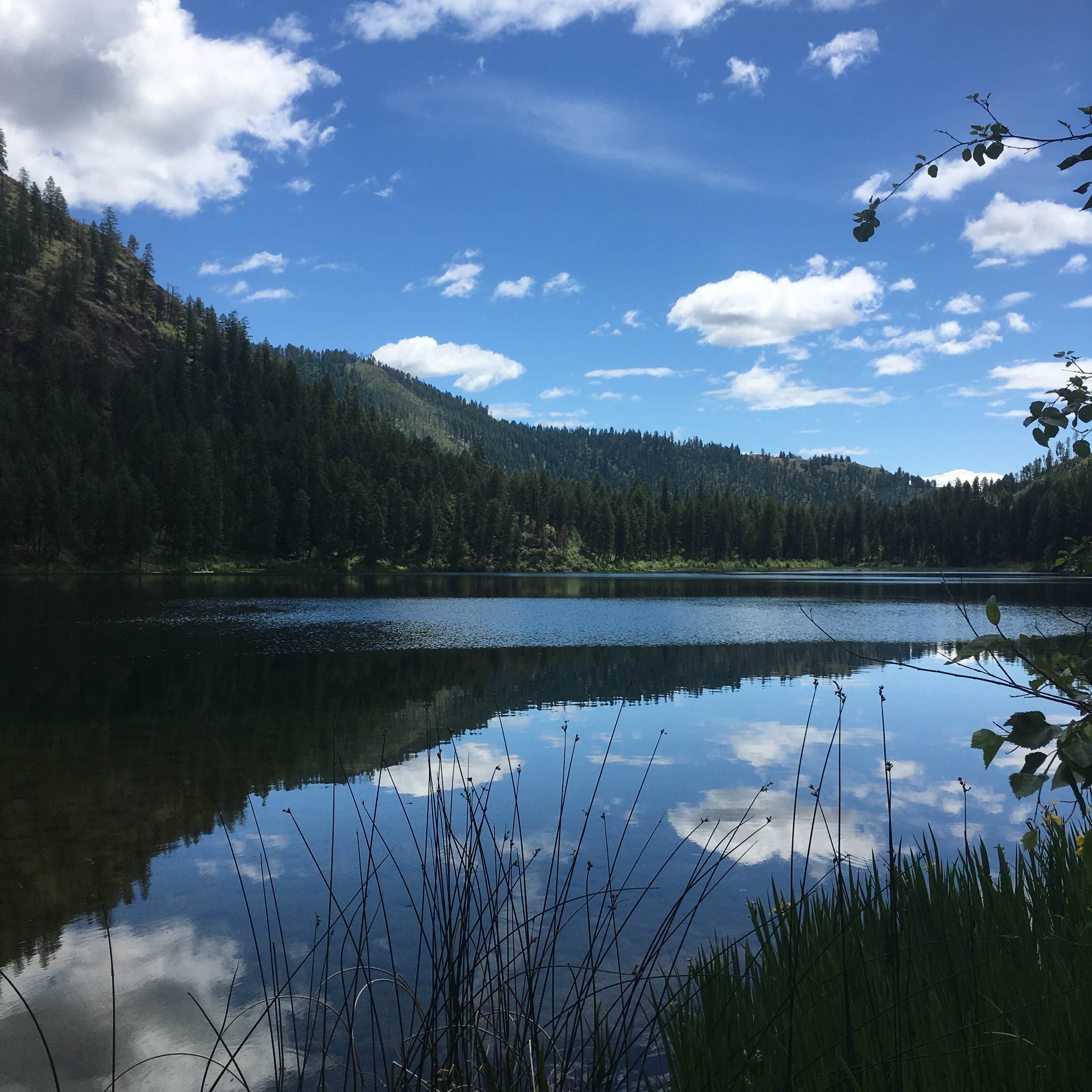 Camper submitted image from Pierre Lake Campground - 3