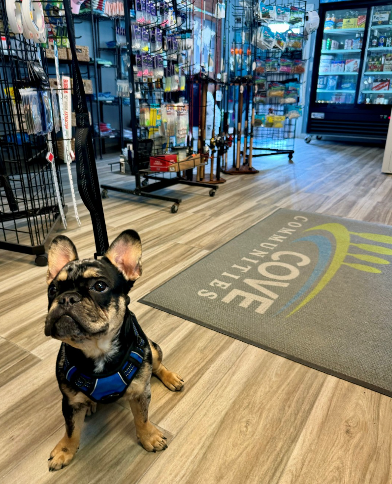 Jacob W.'s photo of camping with pets at Chokoloskee RV Park near Big Cypress National Preserve