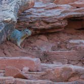 Review photo of Mather Campground — Grand Canyon National Park by Michael K., September 17, 2016