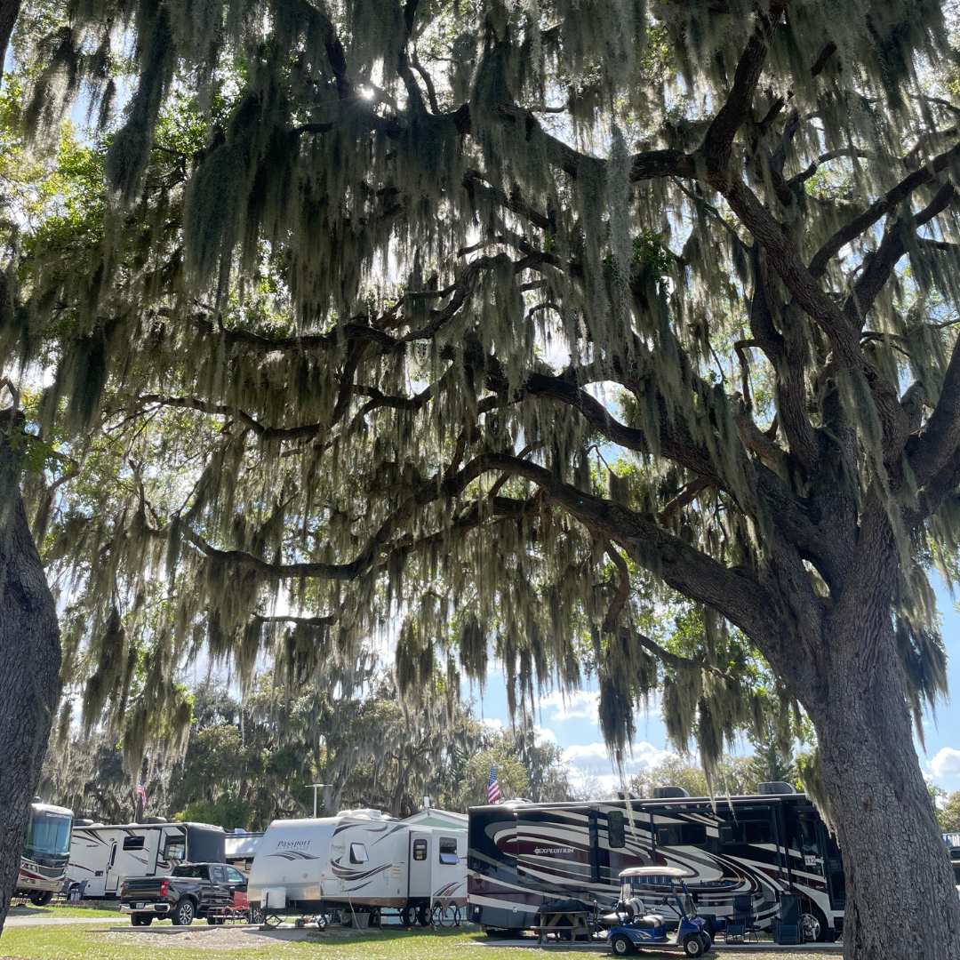 Jacob W.'s photo of rv camping at Oak Harbor RV Park near Haines City, FL