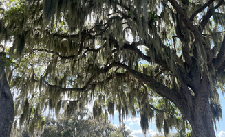 Jacob W.'s photo of rv camping at Oak Harbor RV Park near Haines City, FL