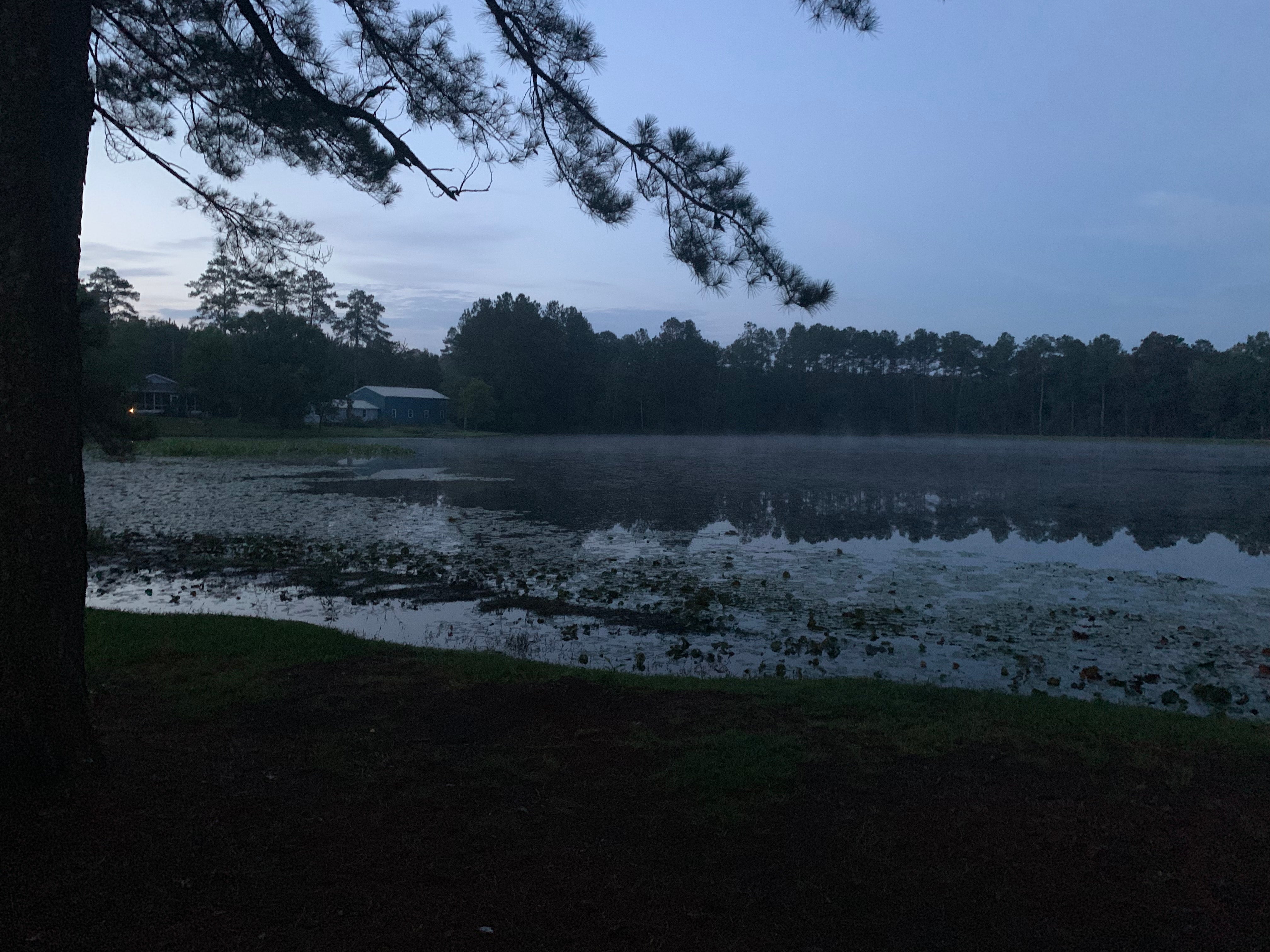 Camper submitted image from Cedar Pond Campground - 5