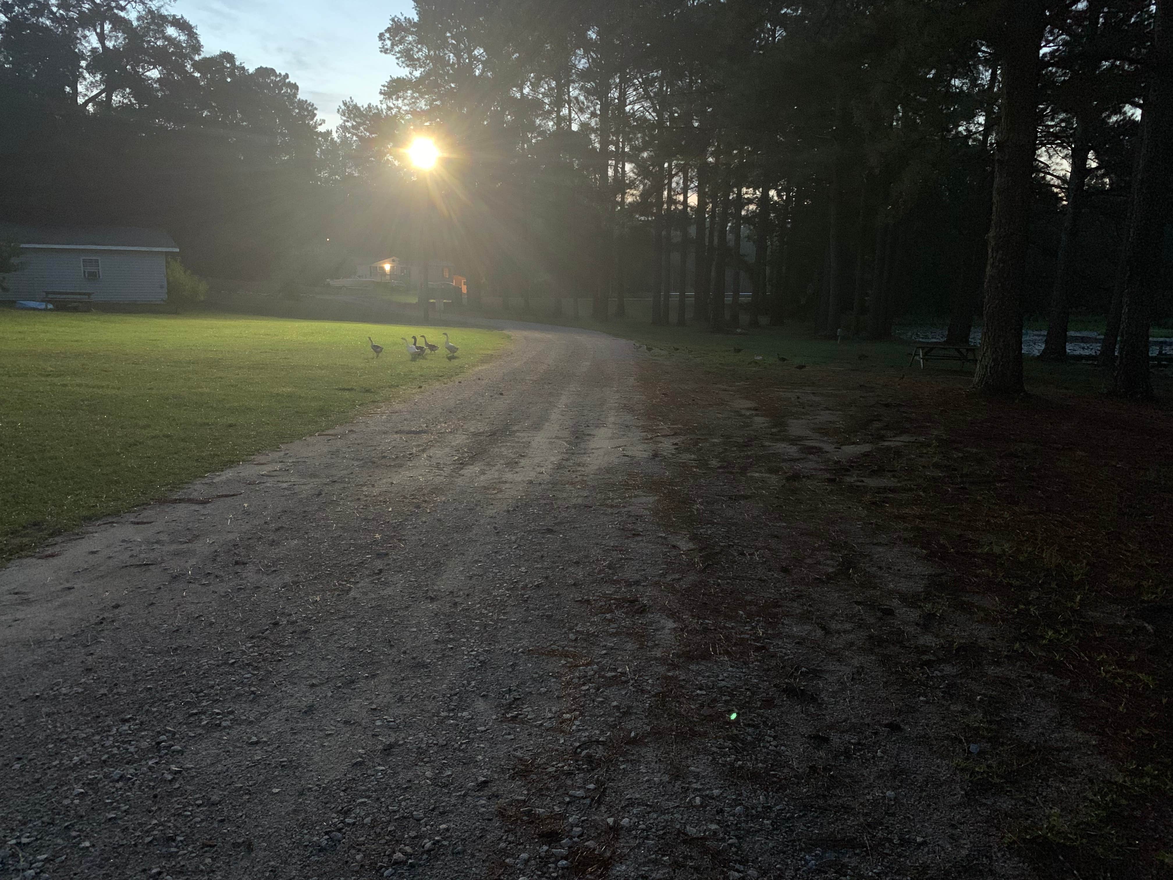 Cedar Pond Campground Camping | The Dyrt