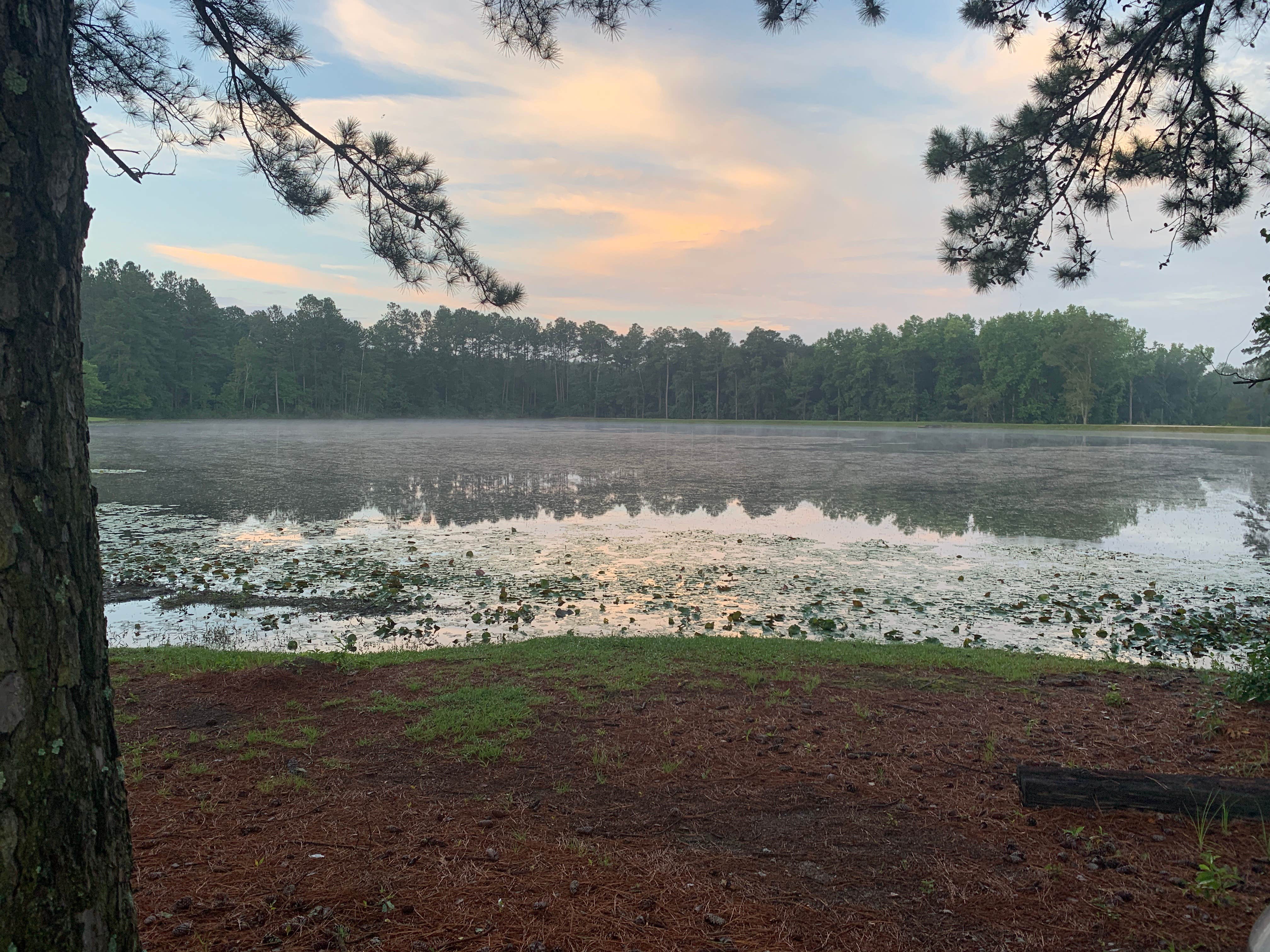 Camper submitted image from Cedar Pond Campground - 4