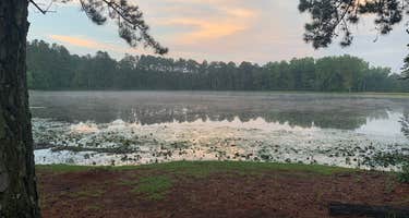 Cedar Pond Campground