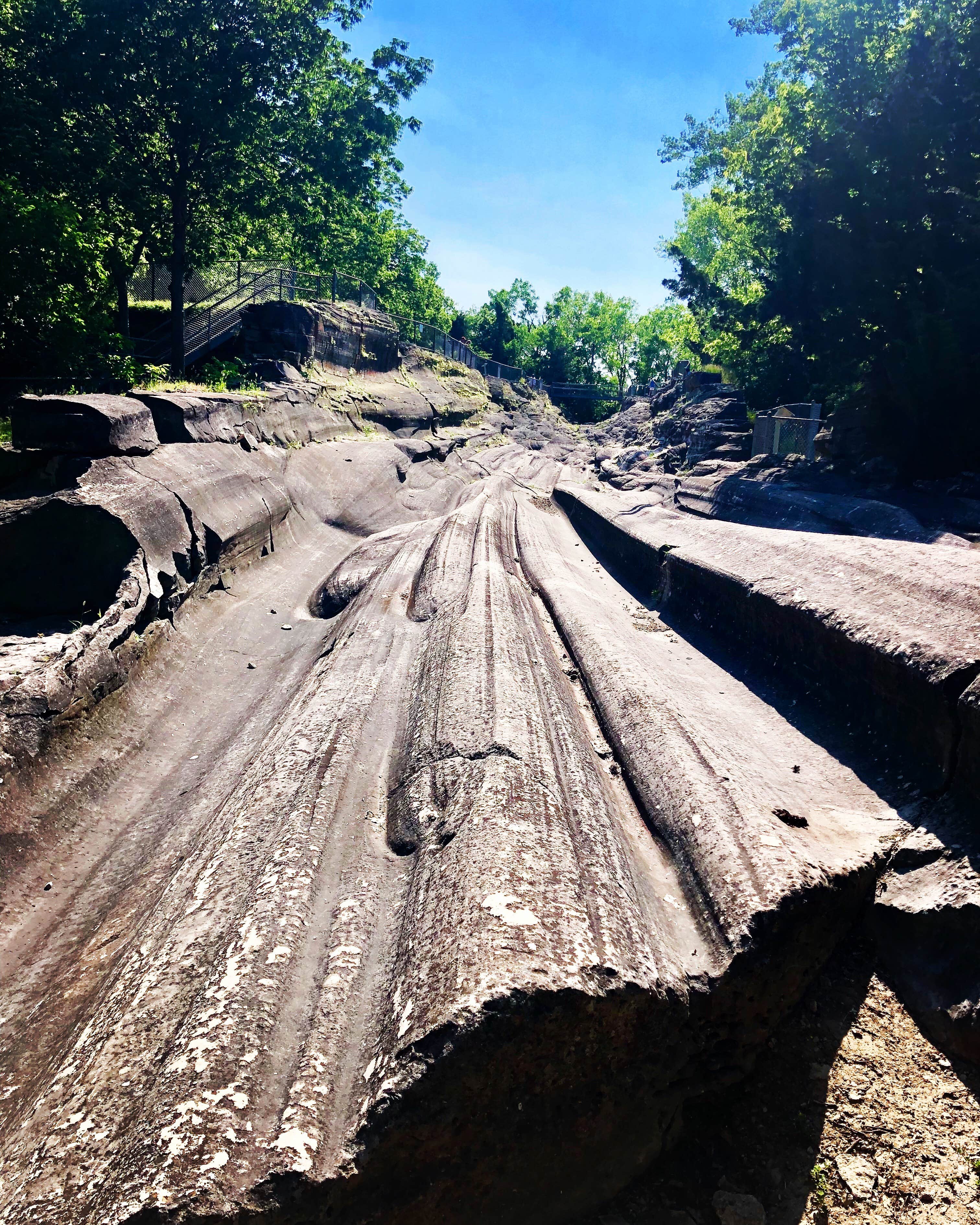 Camper submitted image from Kelleys Island State Park Campground - 1