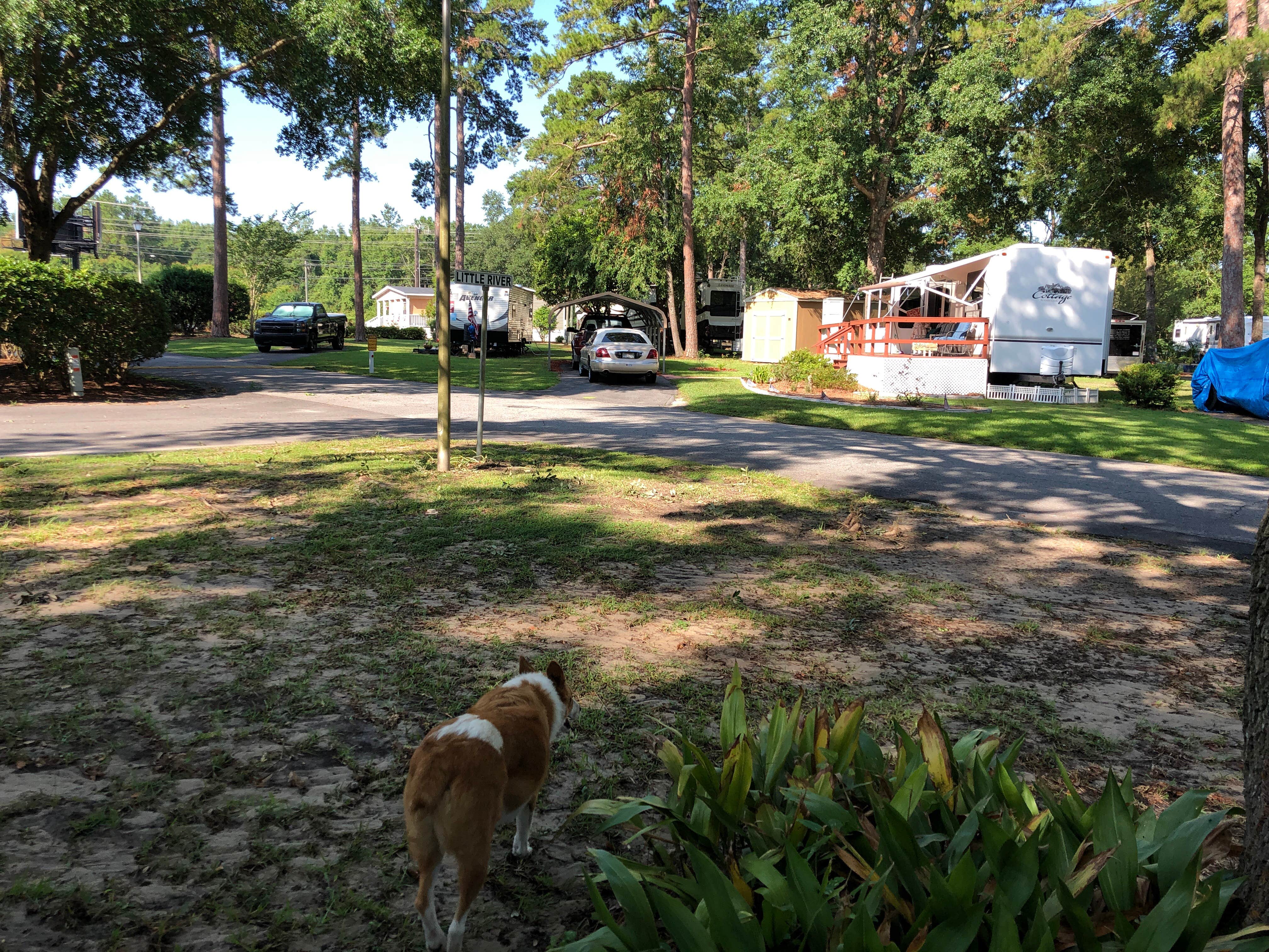 Camping near Love's RV Hookup-Valdosta GA 550: River Park RV Park, Valdosta, Georgia