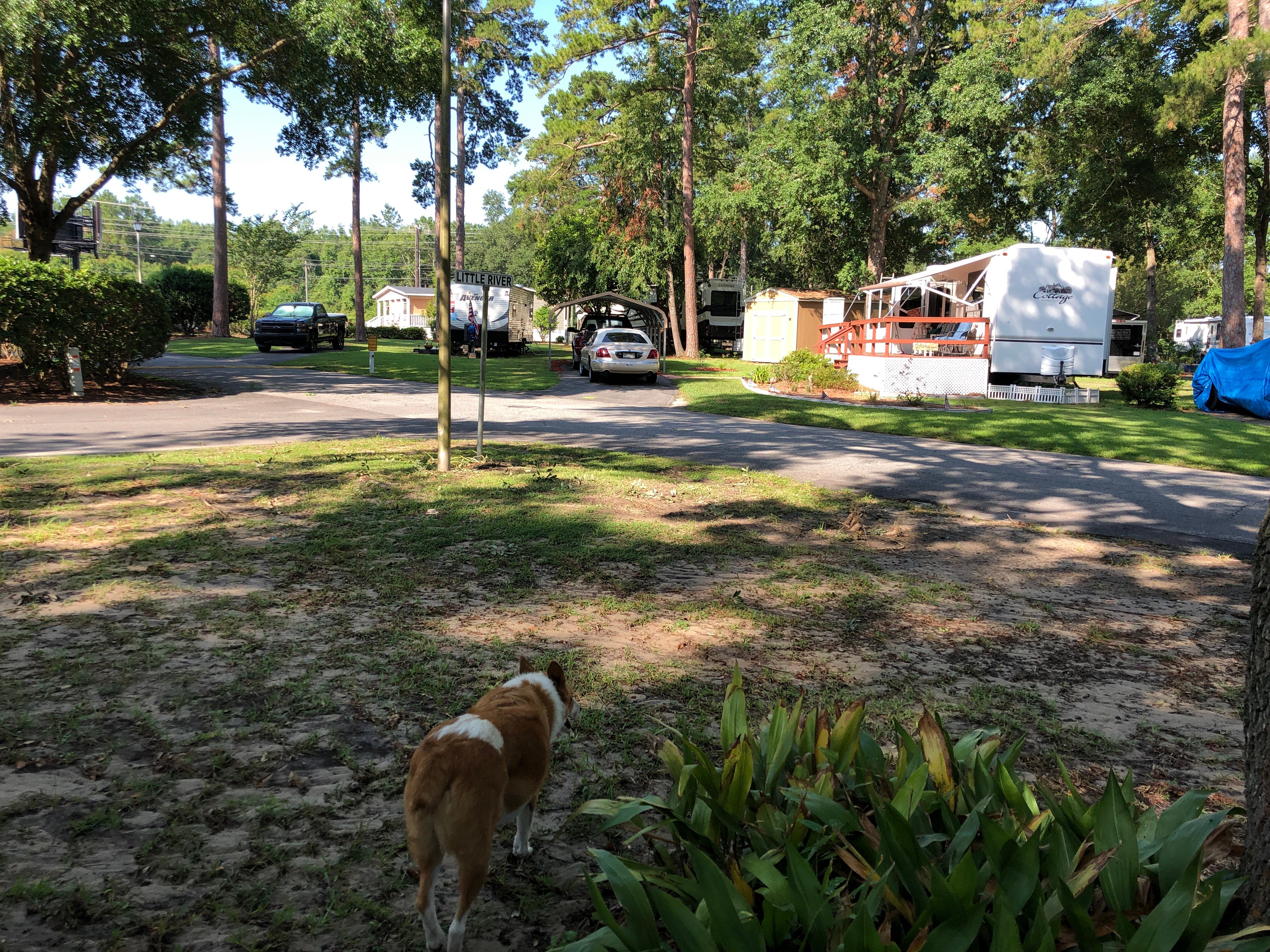 Camper submitted image from River Park RV Park - 1