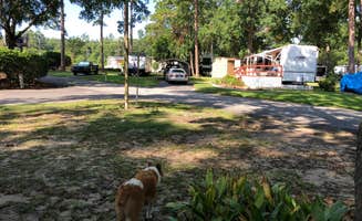 Alexis  P.'s photo of camping with pets at River Park RV Park near Valdosta, GA