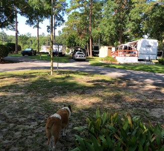 Camper-submitted photo from River Park RV Park