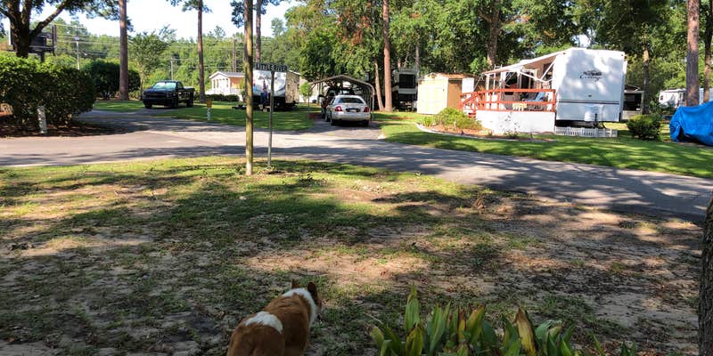 Camper submitted image from River Park RV Park