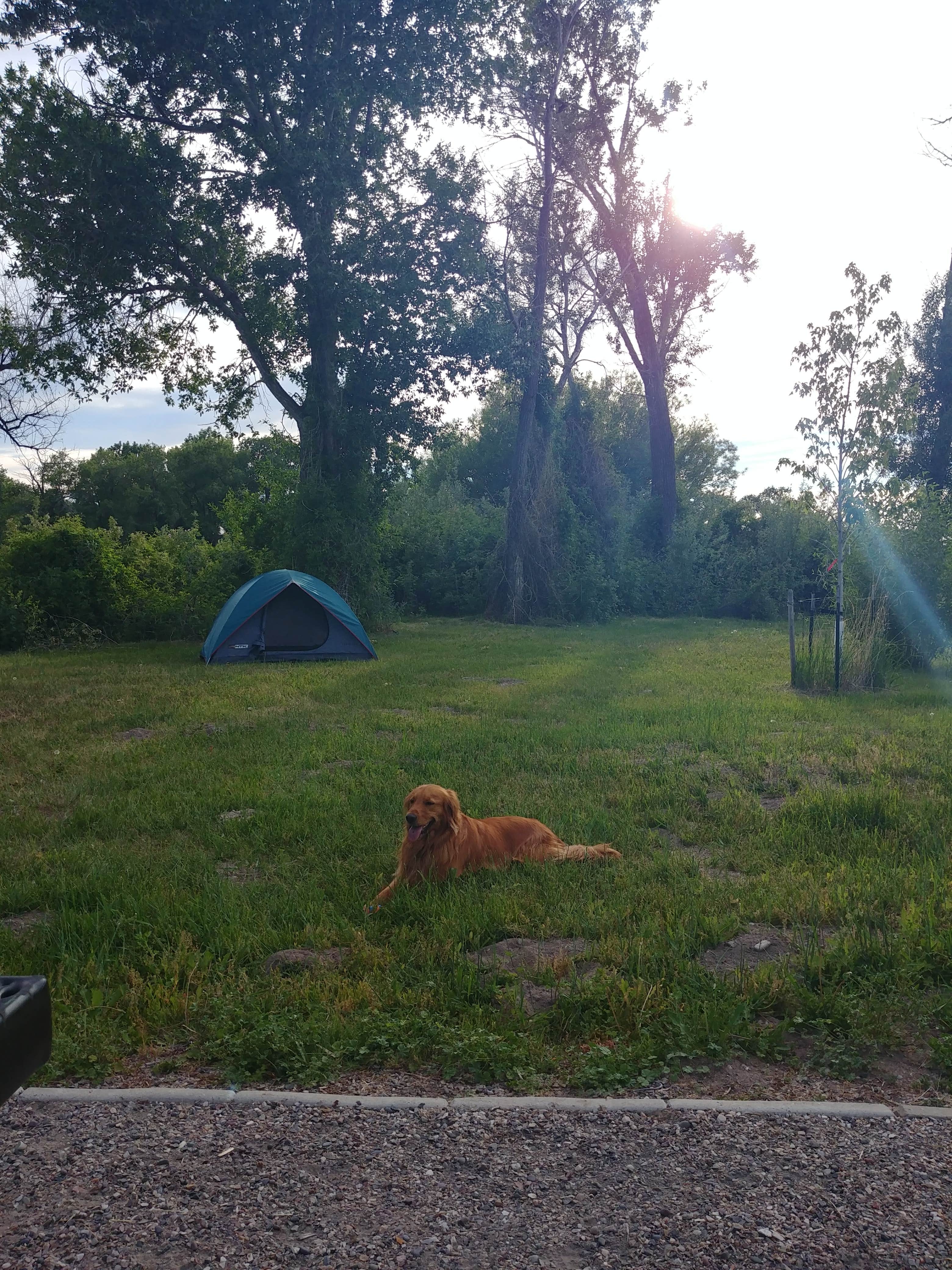 Natasha S.'s photo at Kelly Island Campground near Rigby, ID