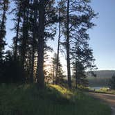 Review photo of Boxelder Forks Campground — Black Hills National Forest by Cindy N., July 4, 2019