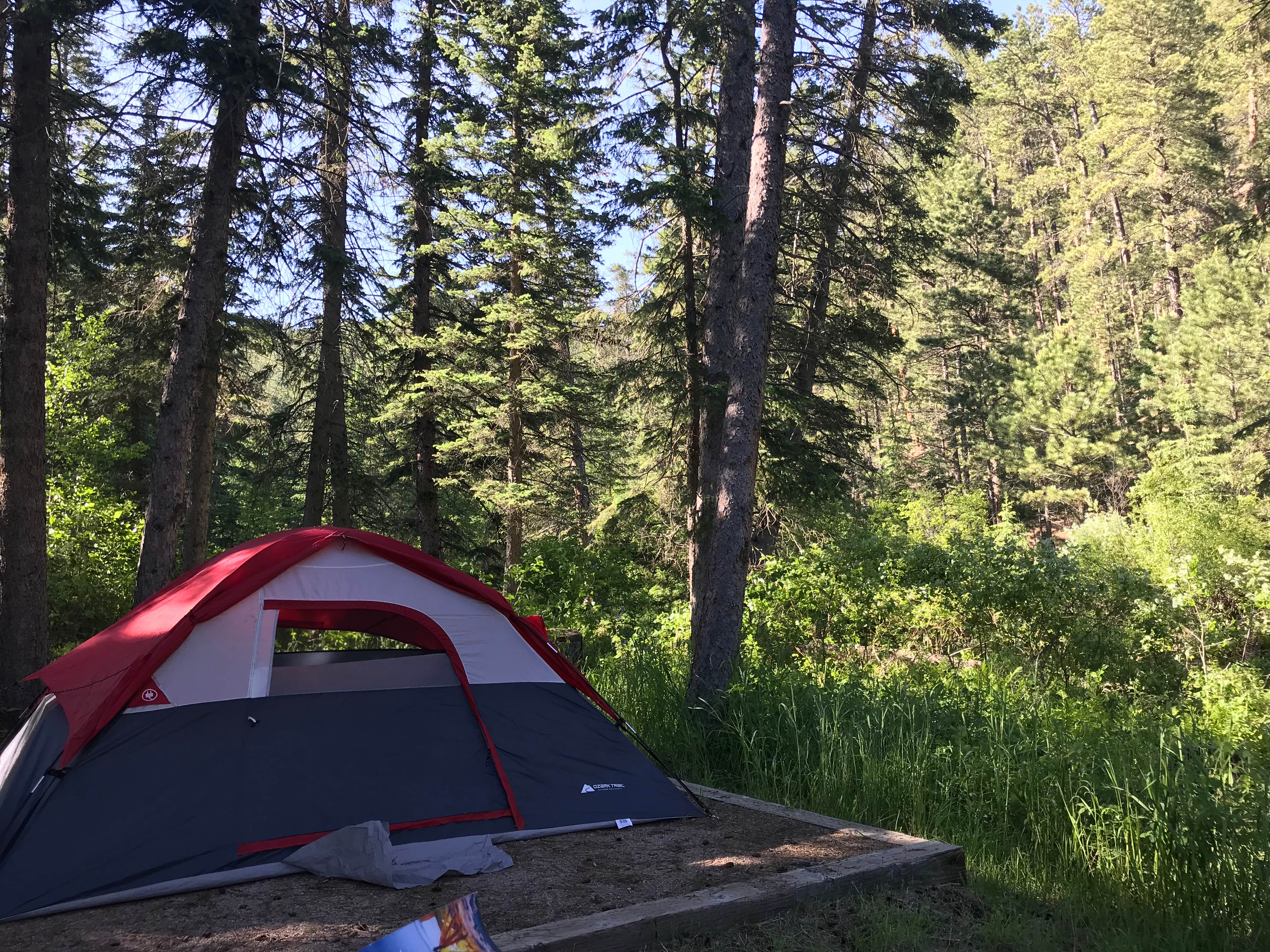 Cindy N.'s photo at Boxelder Forks Campground — Black Hills National Forest near Nemo, SD