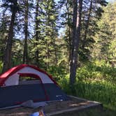 Review photo of Boxelder Forks Campground — Black Hills National Forest by Cindy N., July 4, 2019