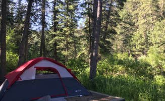 Cindy N.'s photo at Boxelder Forks Campground — Black Hills National Forest near Nemo, SD