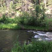 Review photo of Boxelder Forks Campground — Black Hills National Forest by Cindy N., July 4, 2019