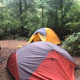 Review photo of Fort Ebey State Park Campground by Tom K., July 4, 2019