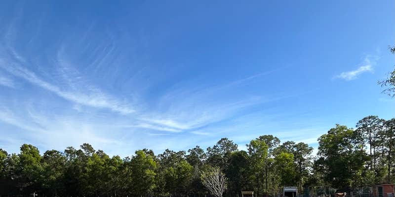 Camper submitted image from Golden Gate Farm