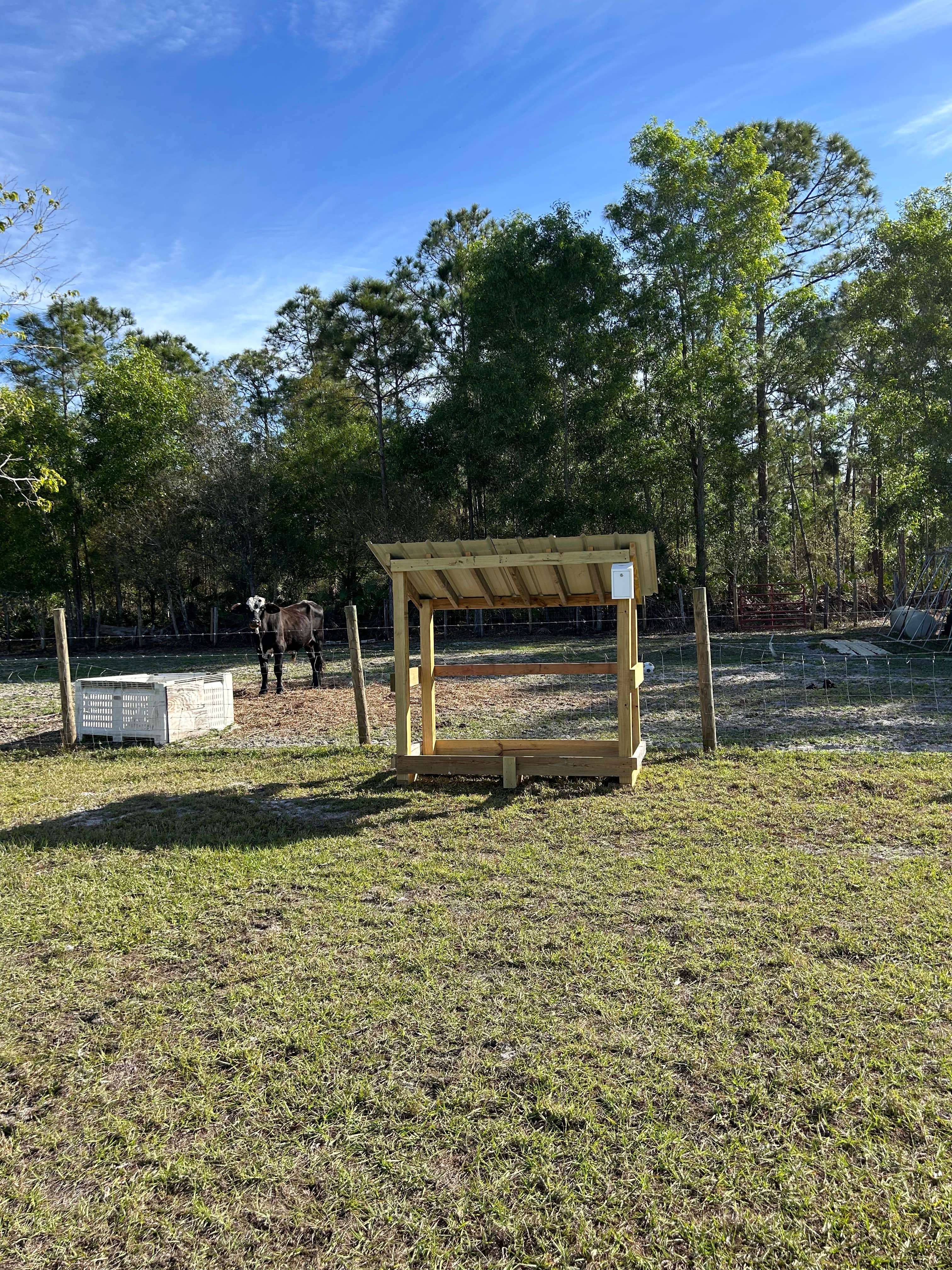 Camper-submitted photo at Golden Gate Farm near Immokalee, FL