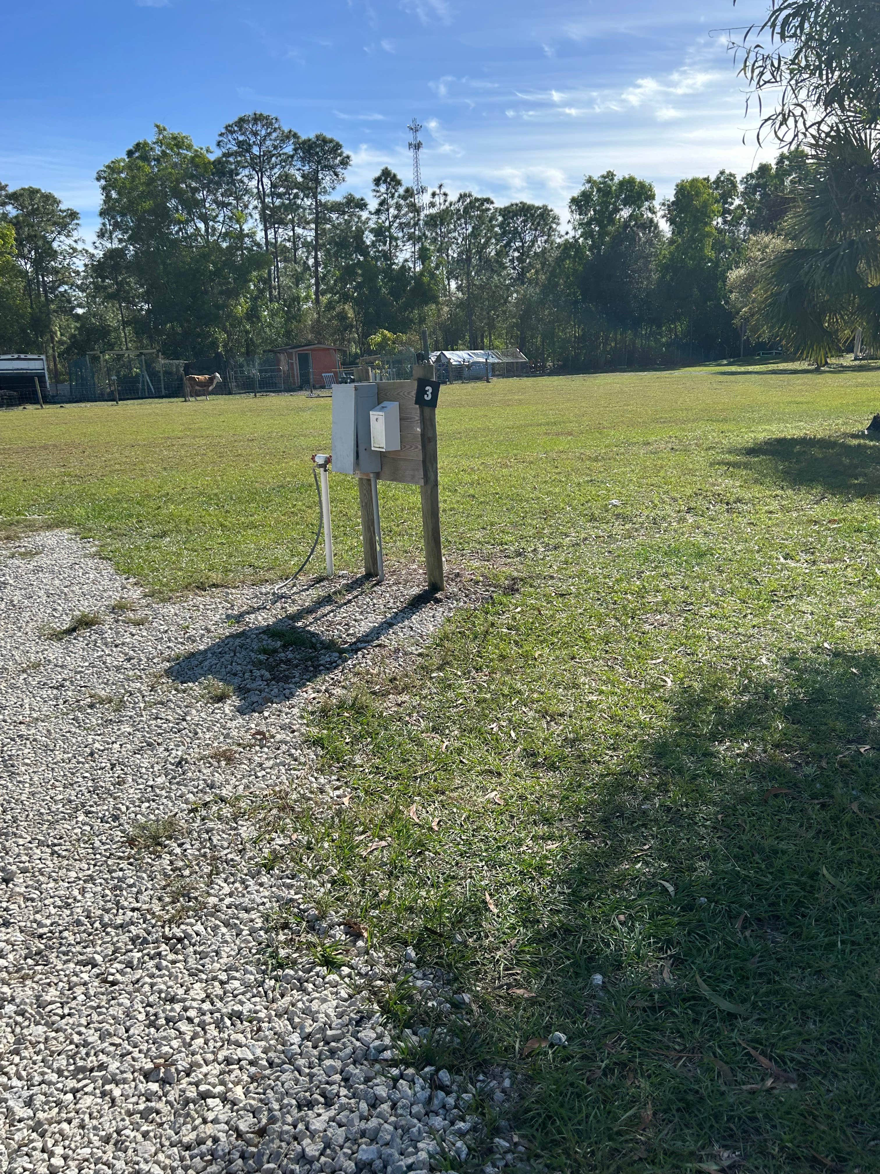 Camper-submitted photo at Golden Gate Farm near Immokalee, FL