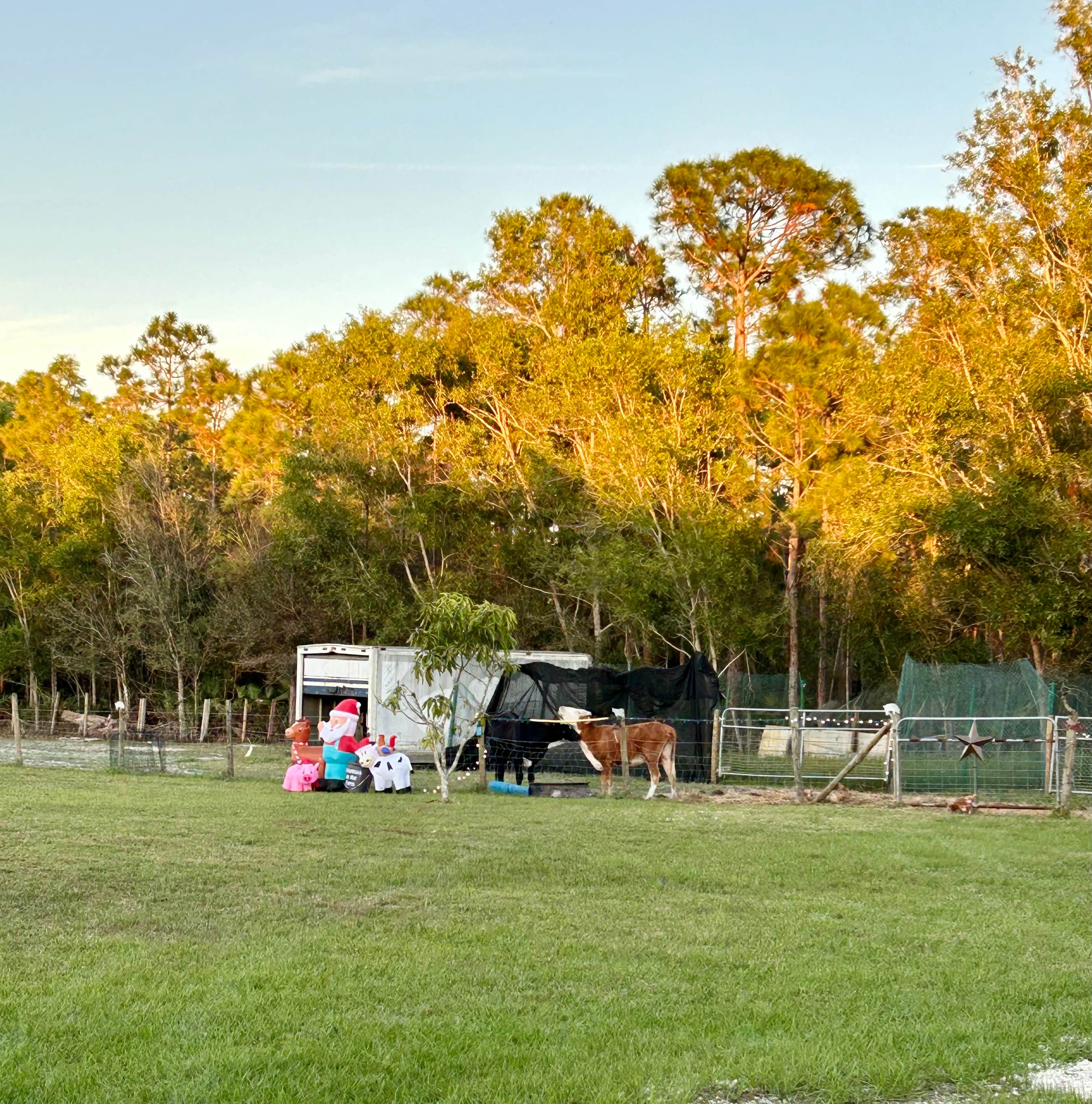 Camper-submitted photo at Golden Gate Farm near Immokalee, FL