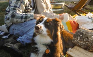 Lisa L.'s photo of camping with pets at Camp Trinidad RV Resort near Redwood National Park