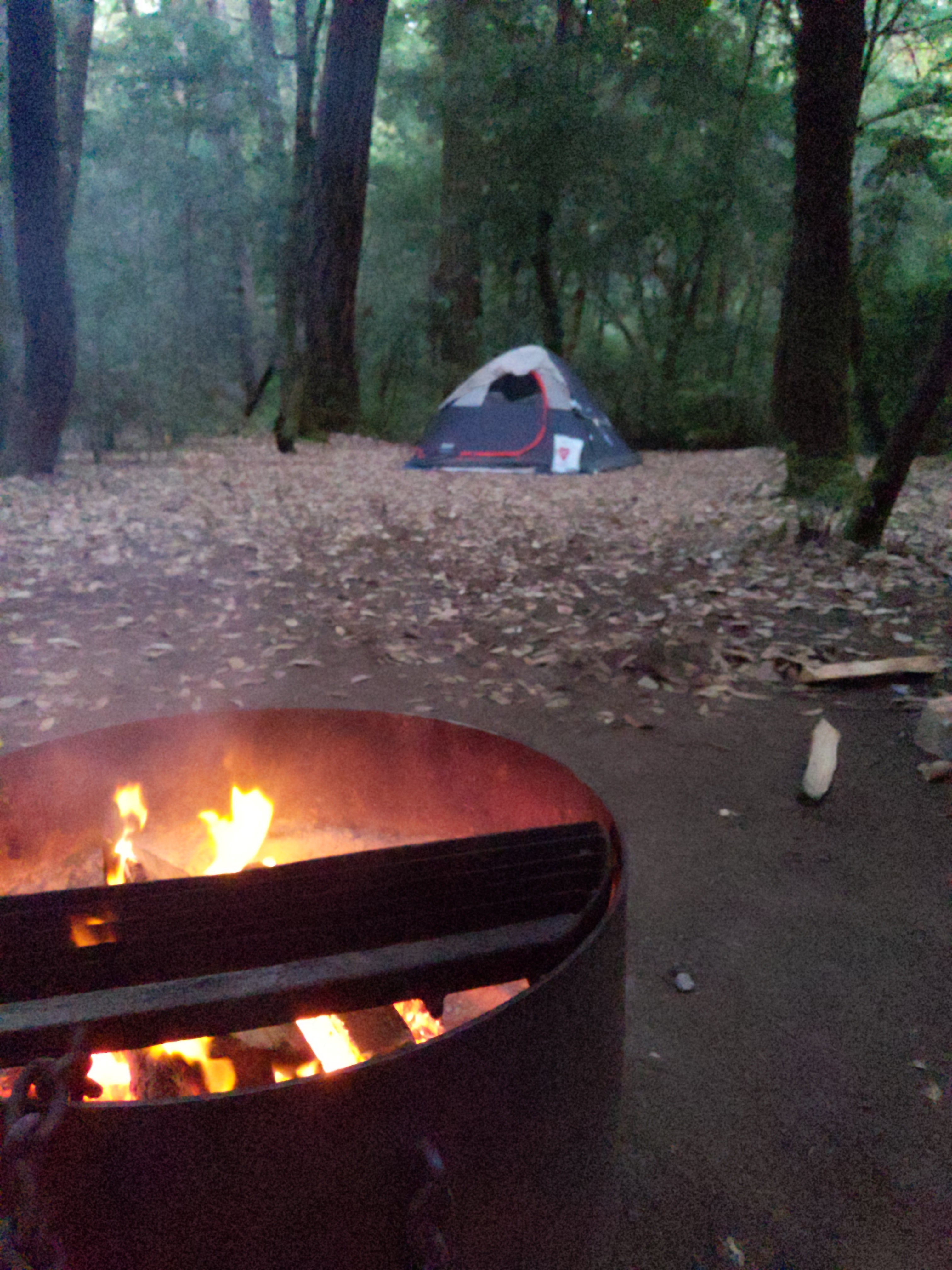Camper submitted image from Hendy Woods State Park Campground - 5