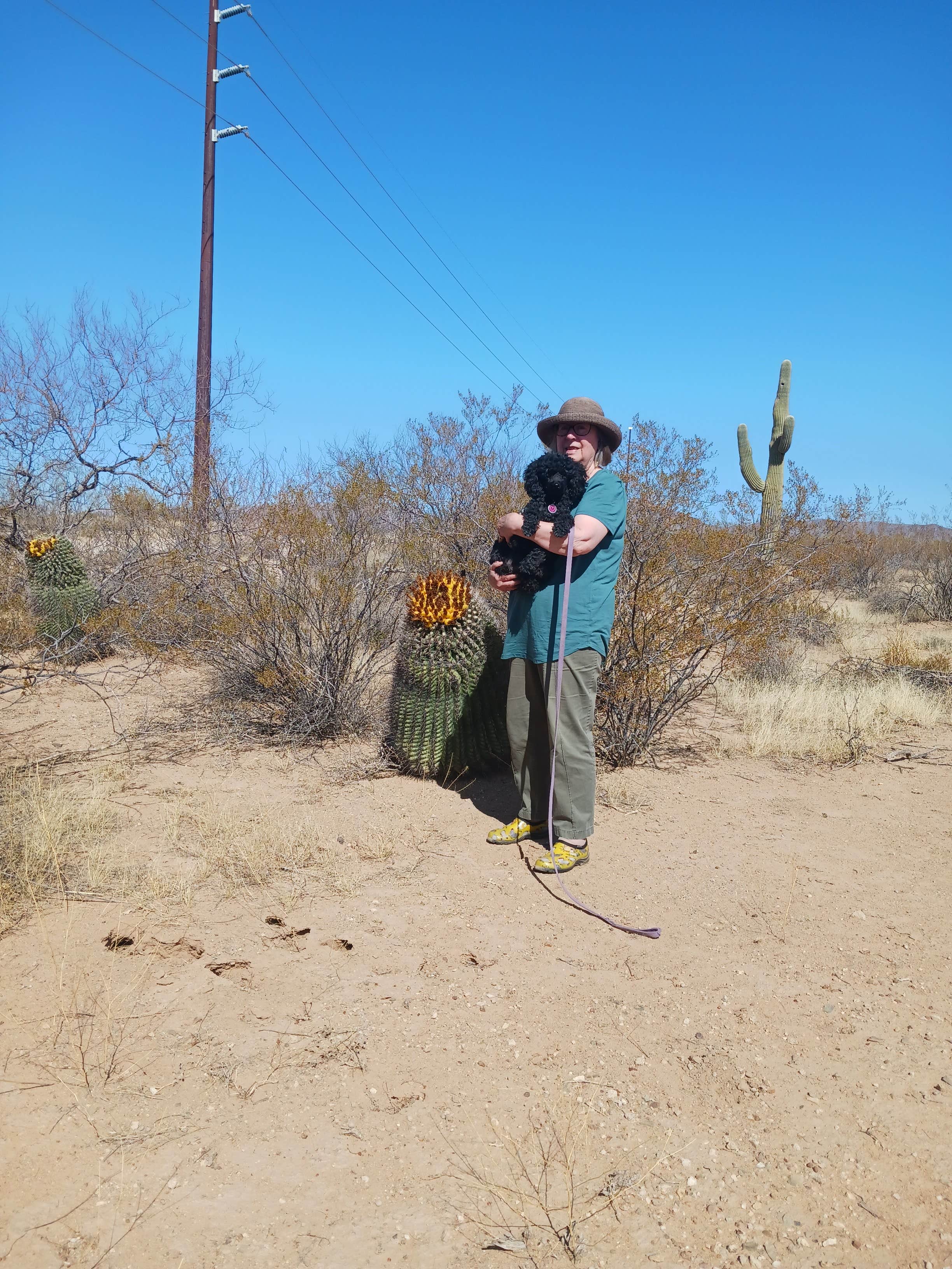 Camper submitted image from BLM off of W Valencia Rd | Wild Camping - 2